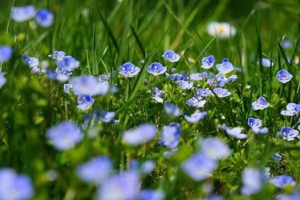 La météo de cet été s'est montrée particulièrement changeante