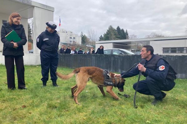 Narko, le chien, est un fin limier de la lutte anti-drogue au commissariat de police de Limoges.