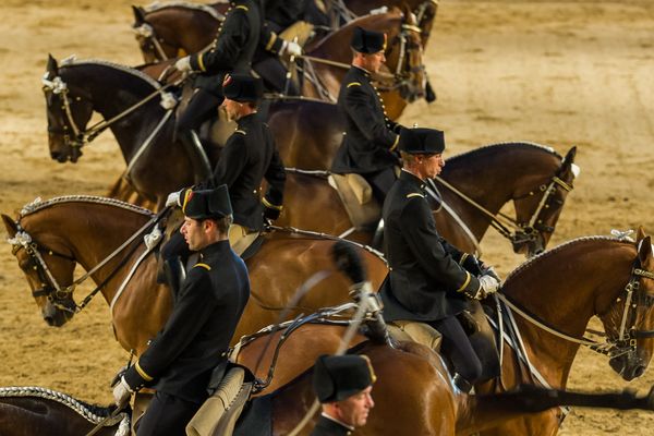 Le Cadre Noir de Saumur 