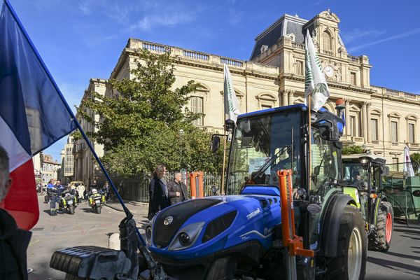 Les agriculteurs se remobilisent dès ce lundi 18 novembre partout en France. A l'appel de la FDSEA et des JA 34, une procession est prévue devant la préfecture de l'Hérault en fin de matinée, comme ici le 26 janvier dernier.