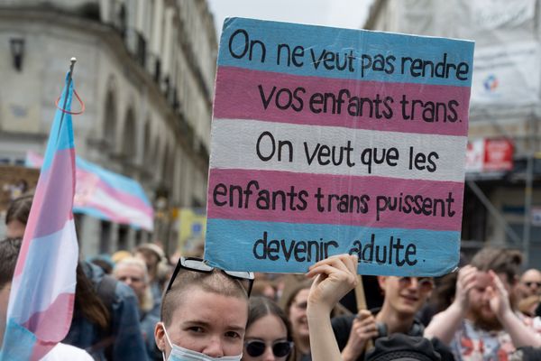 Une manifestation, samedi 26 mai, contre le projet de loi porté par les Républicains.