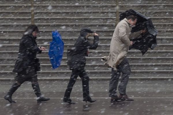 Echangerait parapluie et imper contre tongues et short