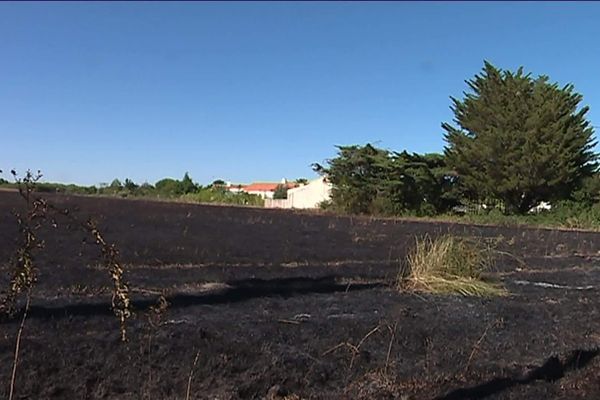 Des images que l'on n'a pas l'habitude de voir dans nos régions. Le feu aux portes des habitations. 