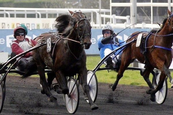 L'an dernier, c'est le français Franck Nivard qui a emporté le Grand Prix d'Amérique 2012.