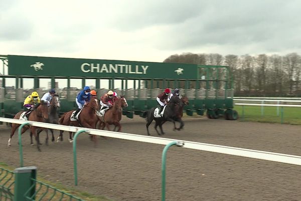 Des chevaux dopés ont participé à pas moins de 31 courses.