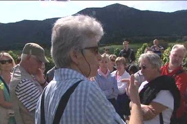 L'exploitation des  Schoenheitz est  classée "Vignoble et découverte", un label qui a pour but de promouvoir la culture, l'histoire et la gastronomie de la région. 