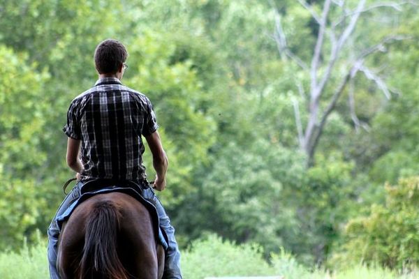 Avec l'équitation western, on apprend à manipuler du bétail comme les cowboys aux Etats-Unis.