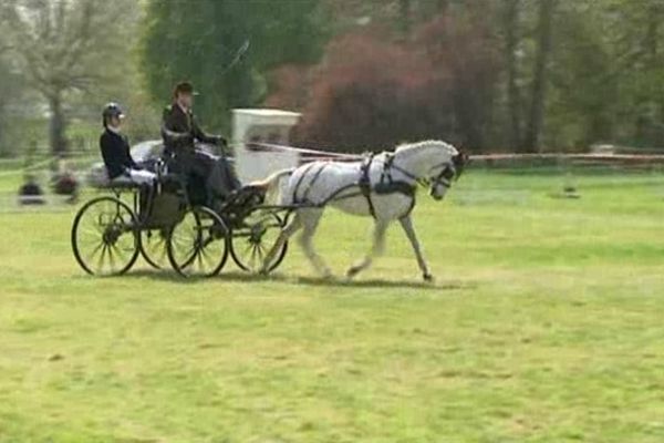 9ème édition du concours national d'attelage au château de Tourville les Ifs 