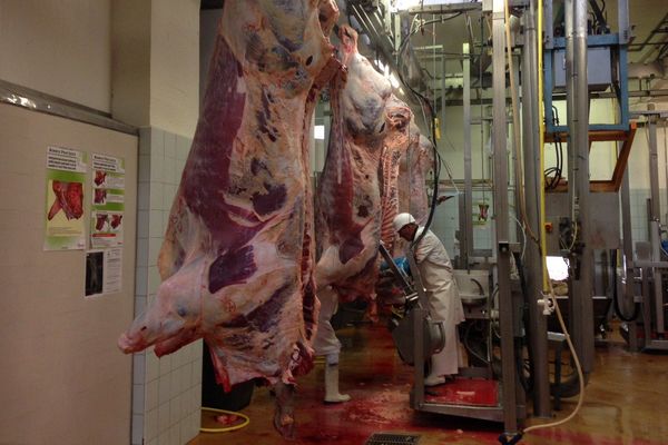 Cet abattoir de Charleville-Mézières emploie une dizaine de personnes