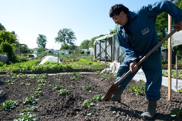 La TVA sur les travaux de jardinage passe de 7% à 19,6%