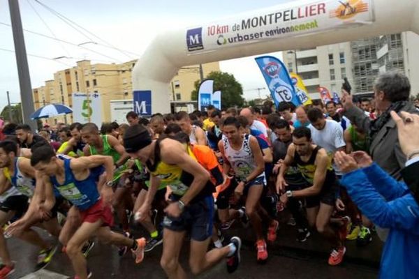 Les coureurs étaient nombreux malgré la pluie pour le 10 km de Montpellier. 15 octobre 2015.