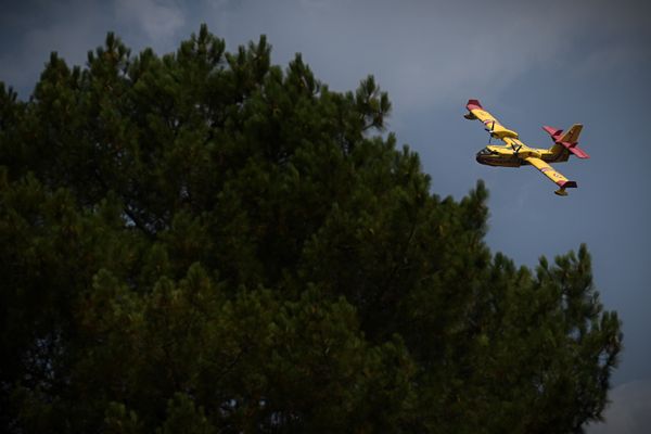 Un Canadair surplombe la commune du Pyla-sur-mer