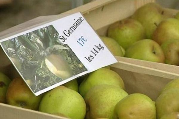 La foire aux pommes de Massiac attire chaque année des milliers de visiteurs.