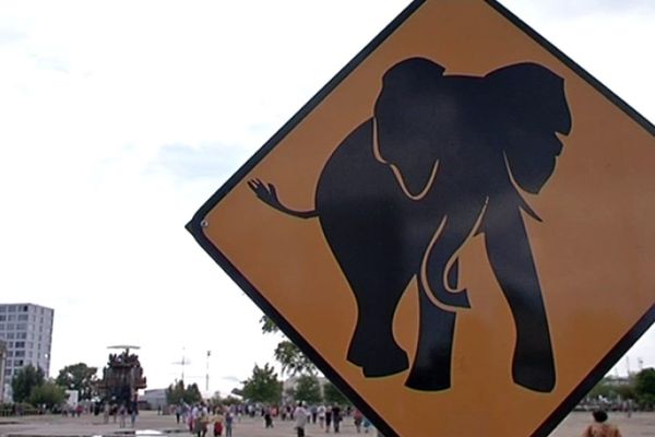 Attention traversée d'éléphant sur les quais !