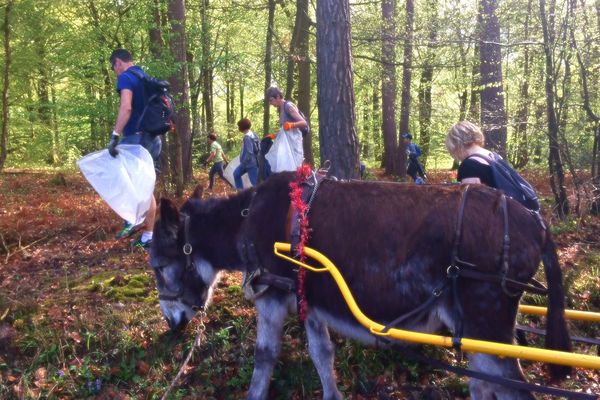 Des attelages d'ânes ont aidé les habitants au ramassage des déchets