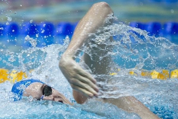 Yannick Agnel, le 21 octobre 2012 lors de la Coupe du monde de natation en petit bassin à Berlin