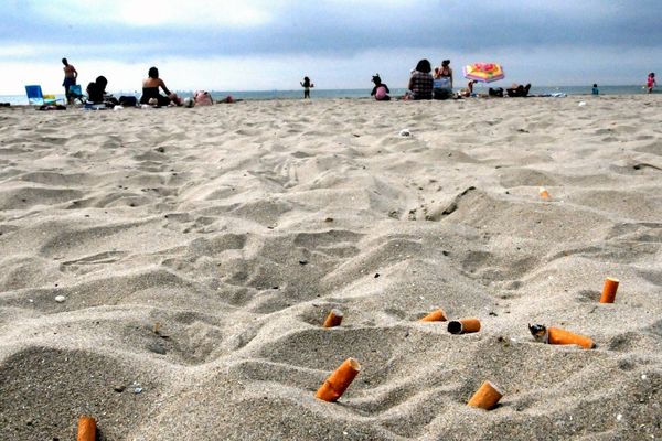 Un mégot jeté sur une plage peut mettre jusqu'à cinq ans pour disparaître. 