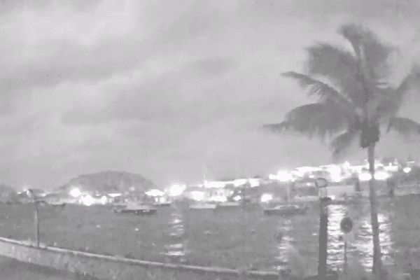 "Still standing #IrmaHurricane" - Sur les réseaux sociaux, il est en train de devenir le héros de l'ouragan Irma. L'arbre qui résiste aux vents sur le port de Gustavia à Saint-Barthélemy a été baptisé Hector. Il a désormais son propre compte Twitter.