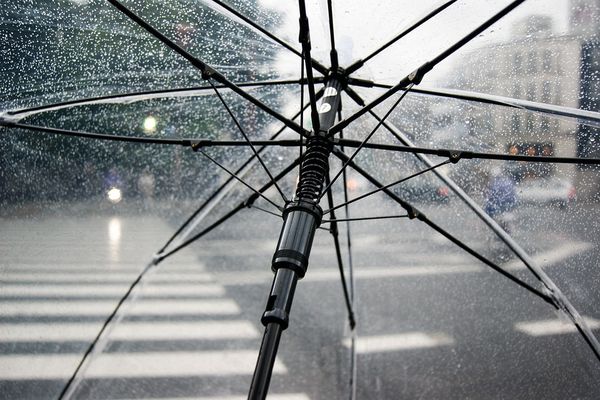 parapluie de sortie