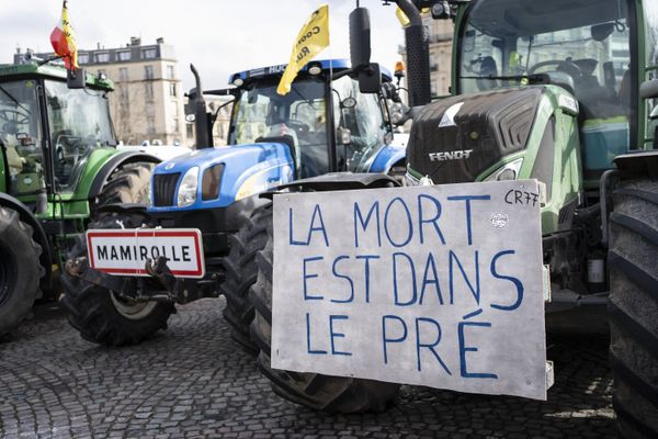 Un an après les manifestations des agriculteurs, la FNSEA lance un appel à la mobilisation pour la mi-novembre (Illustration)