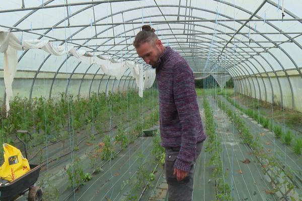 Prosper Cochet, maraîchers à Belligné, en Loire-Atlantique, est très inquiet depuis que les intempéries de cette fin juin 2024 ont noyé ses récoltes.