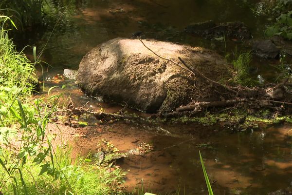 La Petite Creuse était déjà un exemple concret à la fin du mois de juillet.