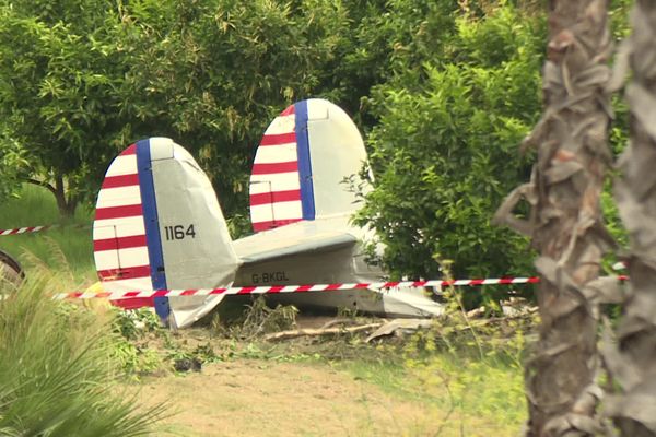 La queue de l'avion, qui s'est écrasé au coeur des plantations des environs de Torra Vescovato. 