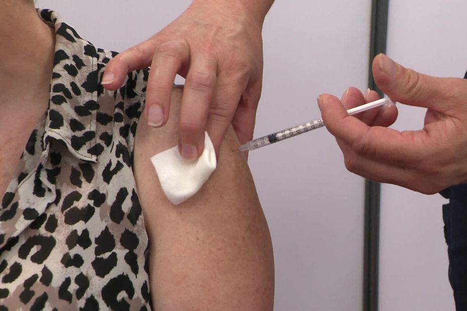 According to professionals, the slowdown in vaccinations is not alarming