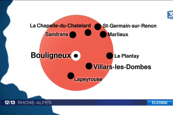 Voici la carte de la zone de confinement et de surveillance dans l'Ain. C'est une zone de 5 km autour du lieu de la découverte d'oiseaux morts.