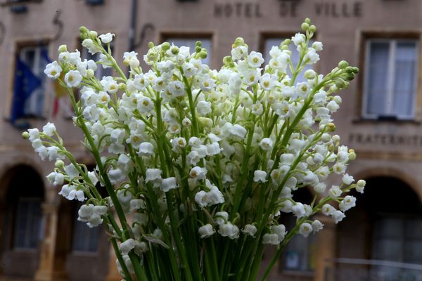 Le muguet sera plus cher cette année