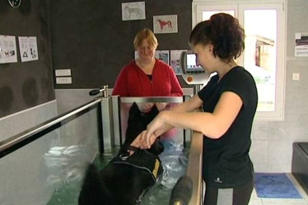 Uxane, 11 ans, vient soigner son arthrose à Audruicq.