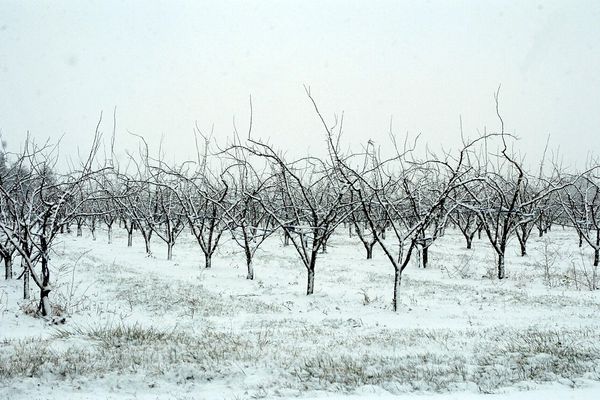 Météo France annonce de la neige à basse altitude voire en plaine - archives.