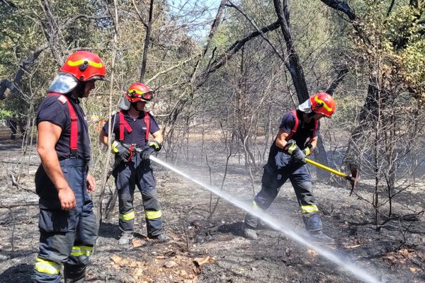 La situation s'améliore sur le front de l'incendie en Gironde. Le sinistre a atteint le département voisin des Landes et a parcouru 7 400 hectares. Mais depuis vendredi, le feu ne progresse plus. Il n'est toutefois pas encore fixé.