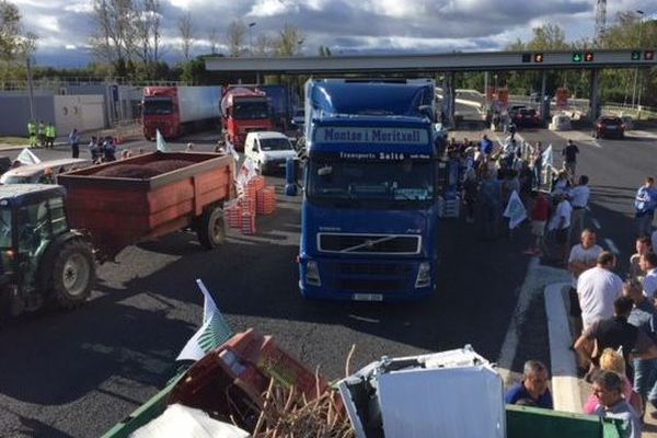 Depuis 9h ce matin, à Perpignan, la sortie du péage sud de l’A9 est perturbée par une petite centaine d’agriculteurs.