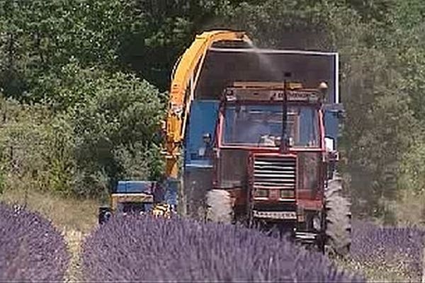 Archives- Ardèche (23/07/2012)