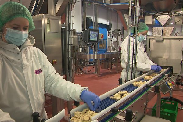 Dans son usine de Vitry-en-Artois créée il y a deux ans, Accro produit 10 000 tonnes de viande végétale par an.