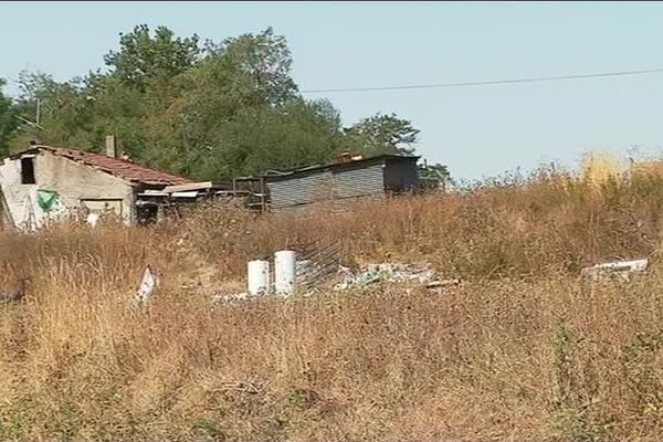 Les animaux étaient regroupés sur le chemin des Mulets, entre Sens et Saint-Clément (Yonne).