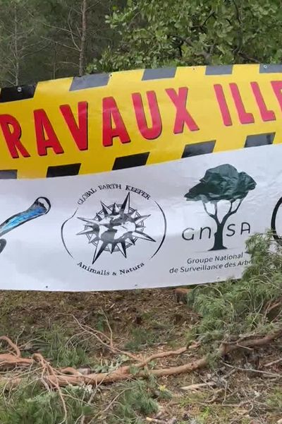 En ce jeudi 12 septembre des associations ont fait stopper le chantier d'un parc photovoltaïque à Séranon dans le pays de Grasse dans les Alpes-Maritimes.