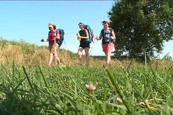 Chaque année, 12000 marcheurs traversent le Tarn-et-Garonne.