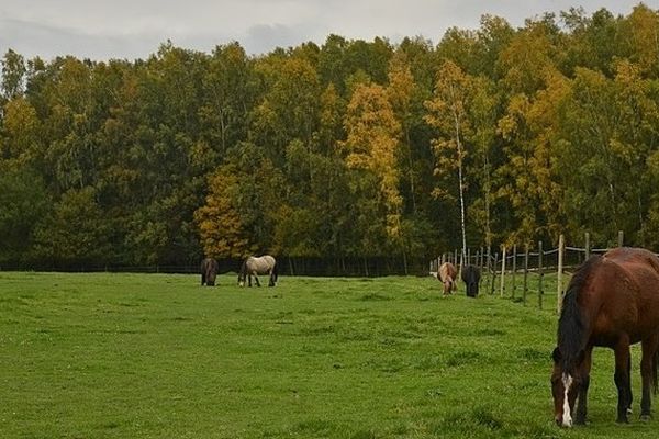 Temps maussade en Normandie