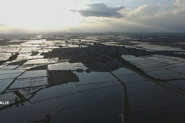 Vercelli en Italie, capitale mondiale du rizotto