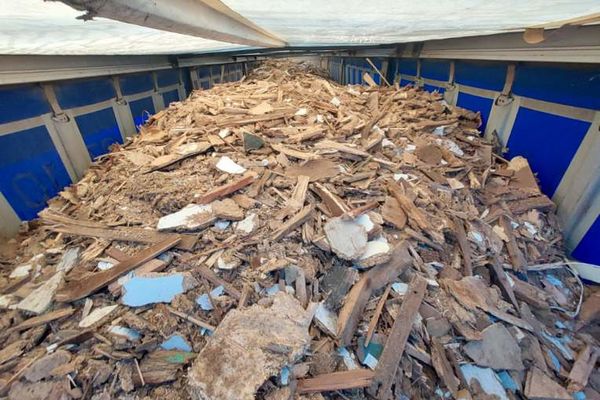 Une première saisie de plus de 20 tonnes de bois a été réalisée en début du mois de décembre.