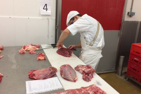 Au concours des Meilleurs Apprentis d'Auvergne-Rhône-Alpes, à Bourg-en-Bresse 