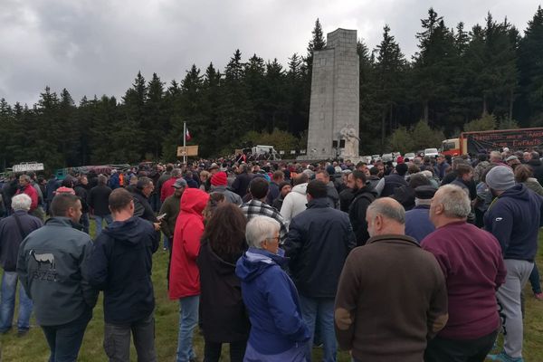 Venus de Haute-Loire, du Cantal et de Lozère, environ 800 éleveurs de brebis se sont rassemblés ce vendredi 30 septembre au Mont Mouchet, en Haute-Loire.