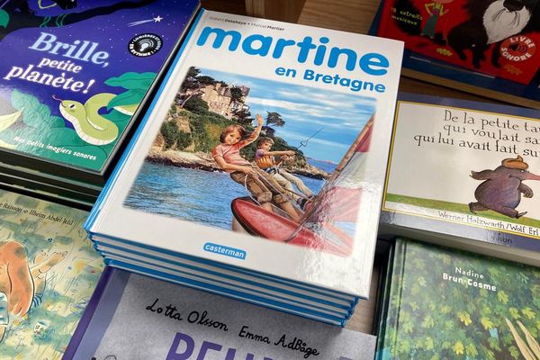 Livre d'images pour enfants de 2 à 5 ans, 60 livres/ensemble