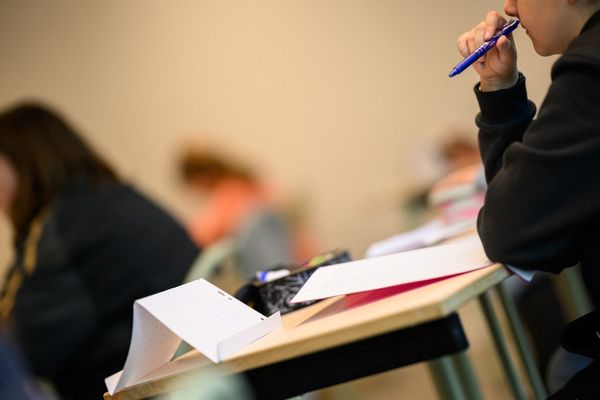 Le collège Professeur Dargent (Lyon 3e) accueille environ 700 élèves dont des classes SEGPA et une section sport. Faute de professeur d'EPS, les élèves concernés sont envoyés en permanence ou chez eux. (Photo d'illustration).