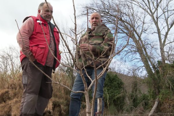 Dans la vallée de l'Agly, un regroupement d'agriculteurs et de communes se lance dans la culture de la pistache, plus adaptée au changement climatique.