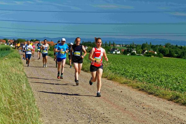 Le trail du Kochersberg est l'une des seules courses de la région à être parvenue à maintenir le nombre d'inscrits stable par rapport à la dernière édition avant la crise sanitaire, en juin 2019.