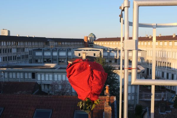 Elle se dresse sur un toit de Besançon, une rose en hommage aux soignants. 