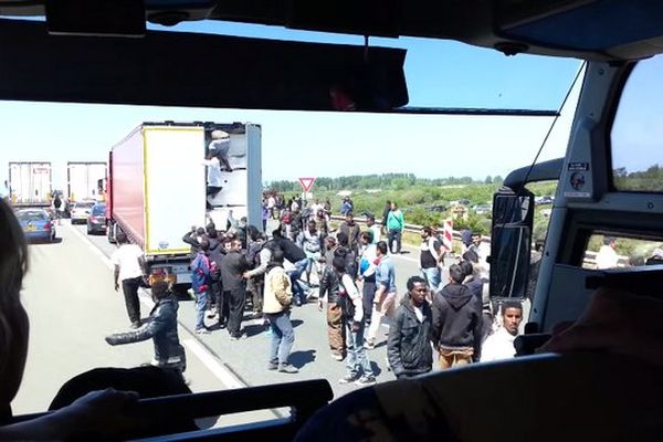 Une image filmée par des touristes néo-zélandais. 